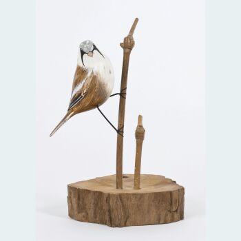 Archipelago Bearded Tit on Aged Natural Wooden Base, Bird Wood Carving