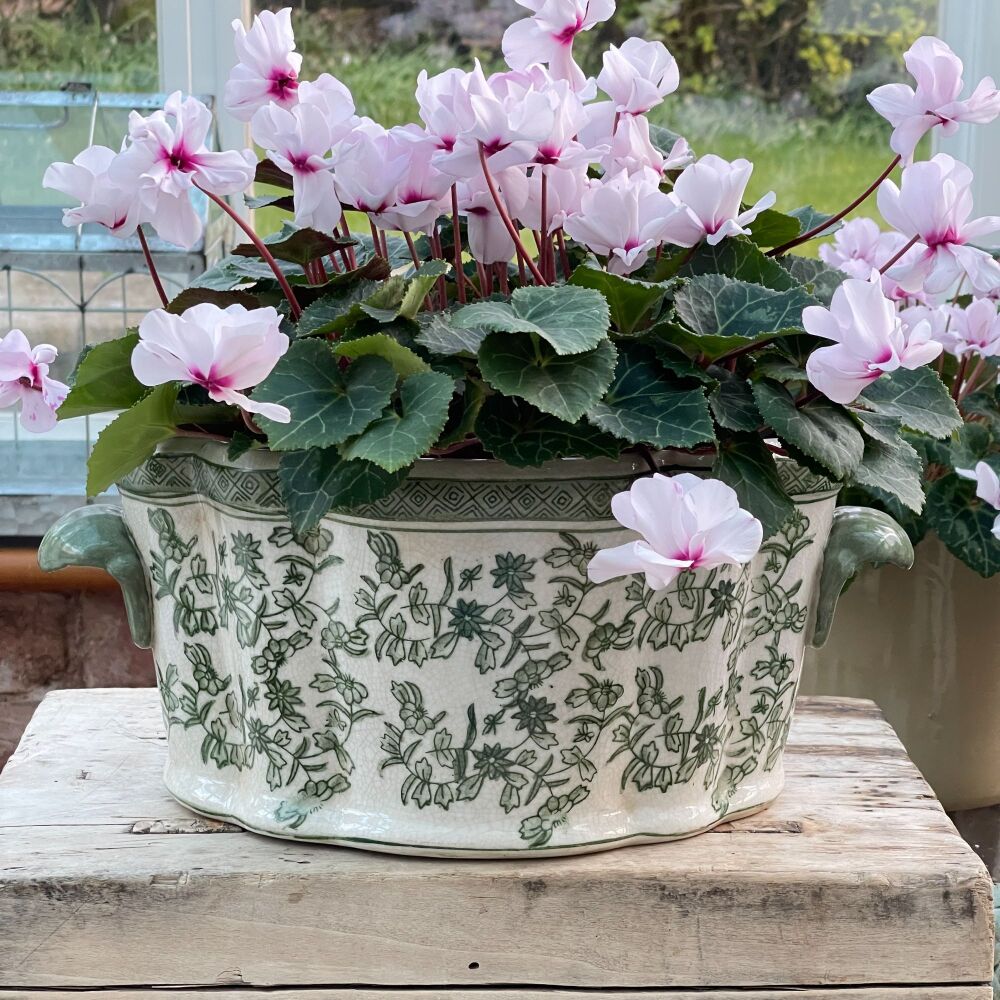 Green & White Ceramic Oval Jardinere Planter / Plant Pot