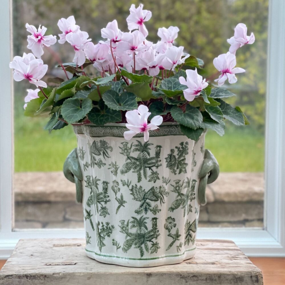 Green & White Ceramic Upright Planter / Plant Pot