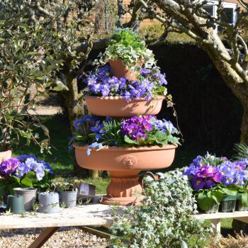 Kew Fountain Planter Three Tiered Footed Bowl - Natural Terracotta