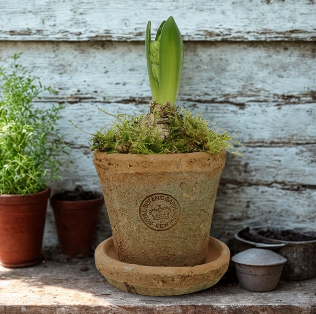Kew Garden Rustic Antique Terracotta Plant Pot with Saucer - Petite
