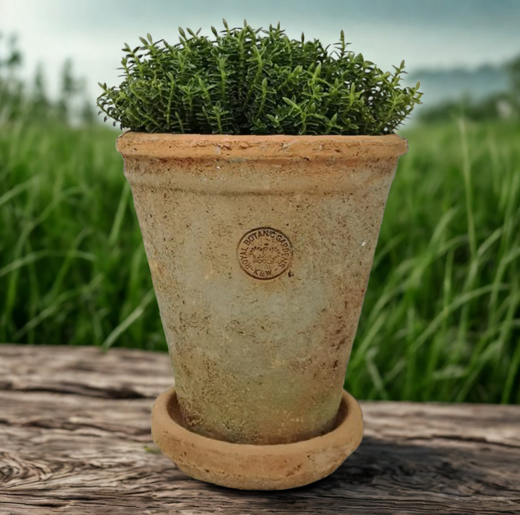 Kew Garden Rustic Antique Terracotta Long Tom Plant Pot with Saucer - Small