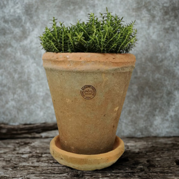 Kew Garden Rustic Antique Terracotta Long Tom Plant Pot with Saucer - Large