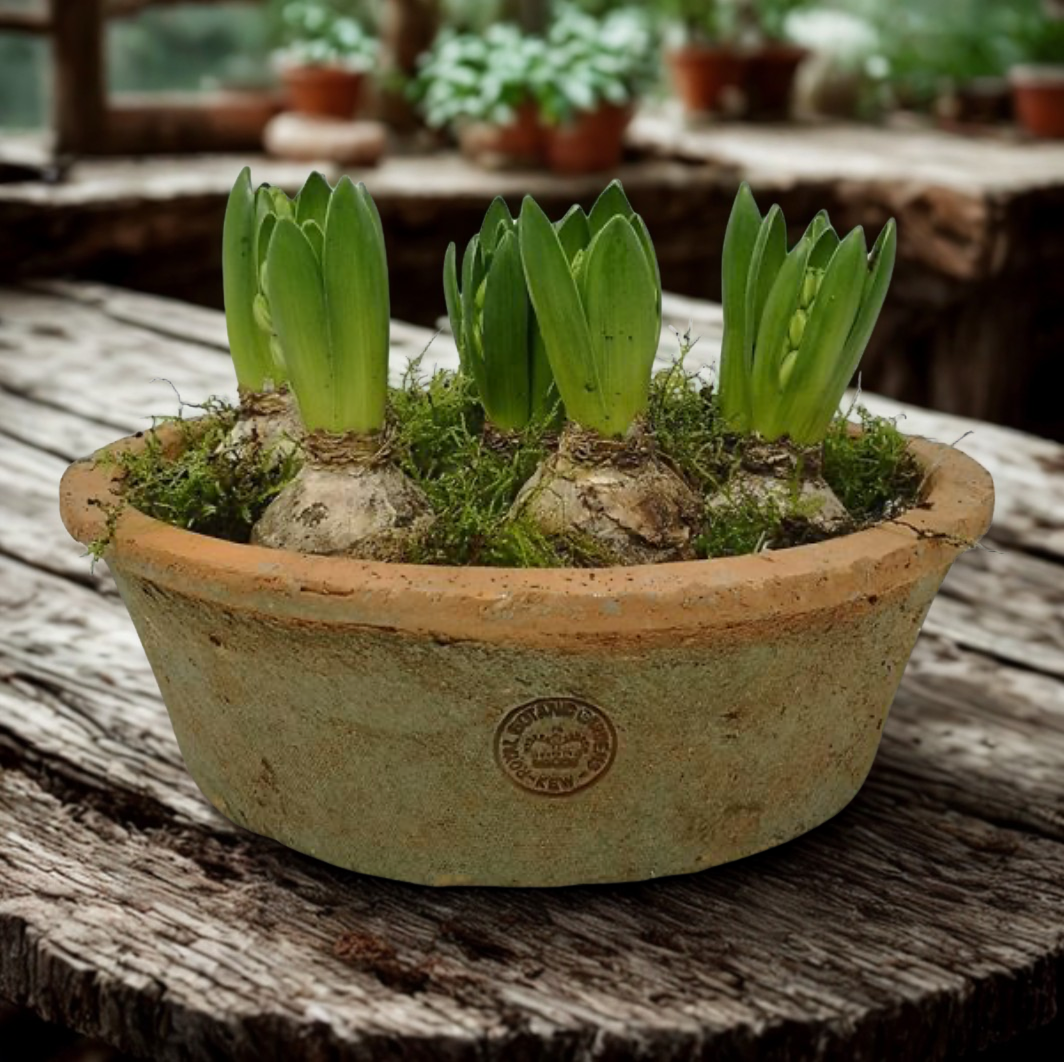 Kew Garden Rustic Antique Terracotta Dish Planter - Large