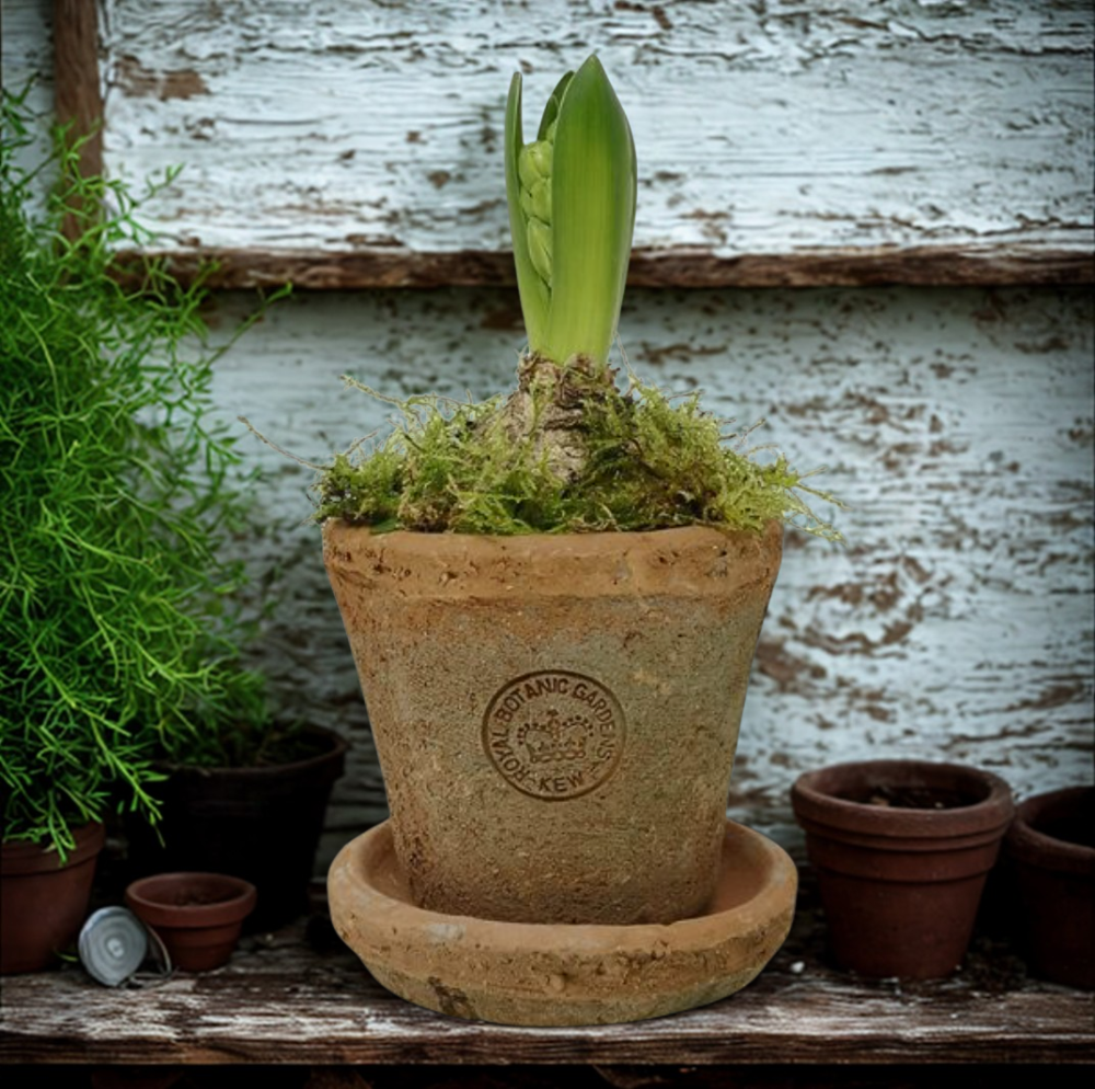 <!--009-->Kew Garden Rustic Terracotta Pots