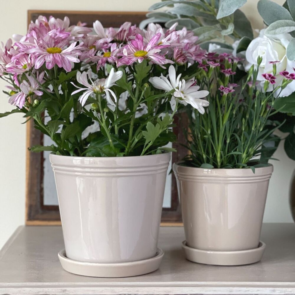 Ceramic Glazed Plant Pot with Grooved Rim & Saucer in Beige - 15.5 cm H