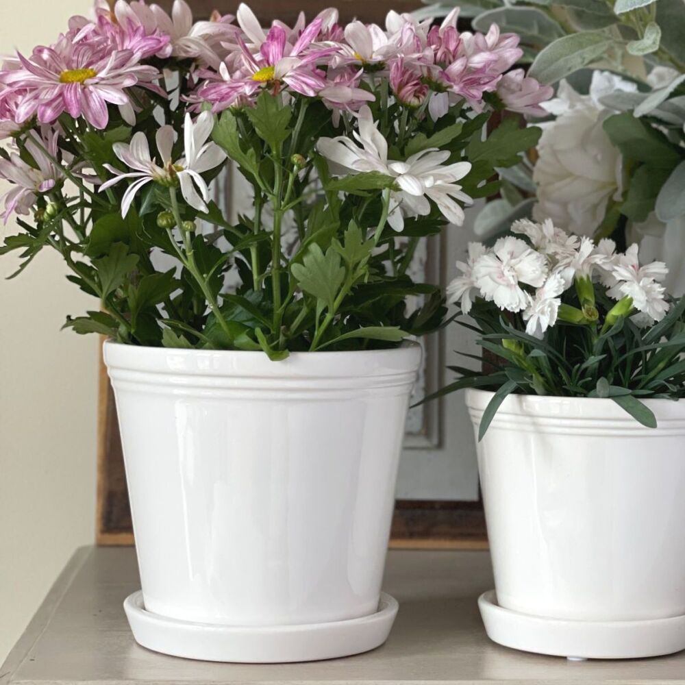 Ceramic Glazed Plant Pot with Grooved Rim & Saucer in White - 15.5 cm H