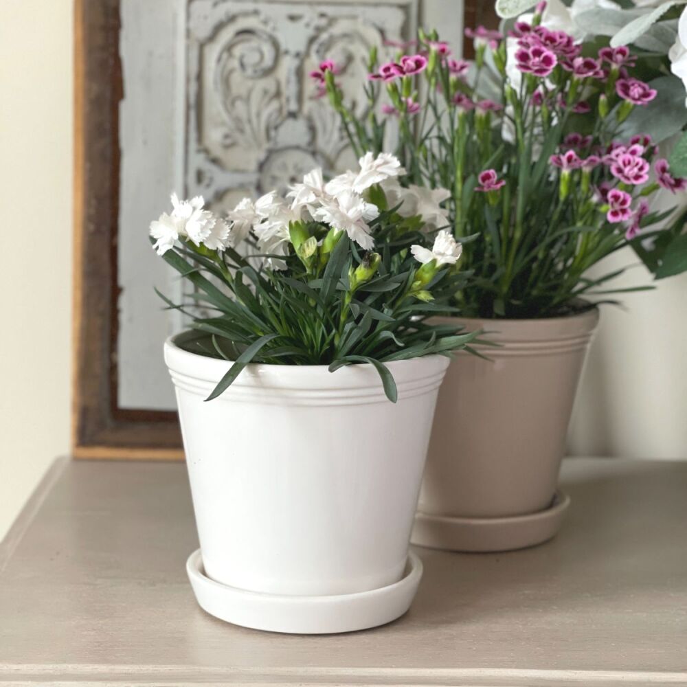 Ceramic Glazed Plant Pot with Grooved Rim & Saucer in White - 13 cm H