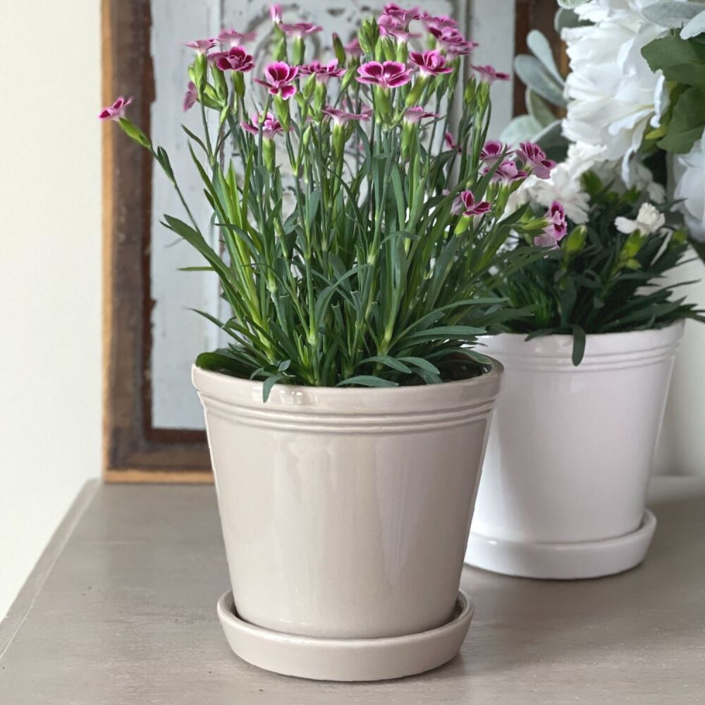 Ceramic Glazed Plant Pot with Grooved Rim & Saucer in Beige - 13 cm H
