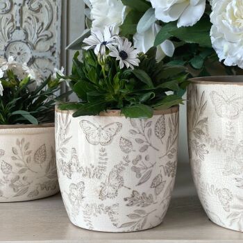 Vintage White & Beige Botanical Plant Pot - 14 cm H
