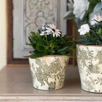 Vintage White & Olive Green Botanical Tapered Plant Pot - 12 cm H