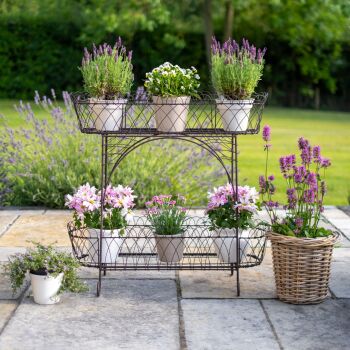 Robust Wirework Jardiniere Plant Pot Holder - Vintage finish