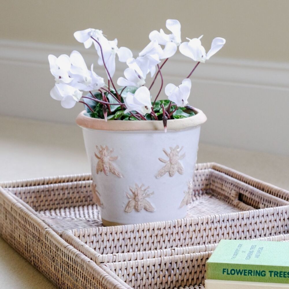 White Glazed Terracotta Bee Embossed Plant Pot Handmade