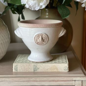 Kew Royal Botanic Gardens Mini Footed Bowl in Bone White