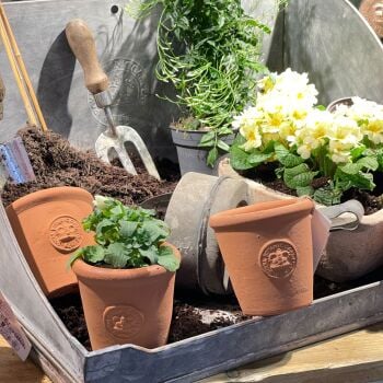 Kew Garden Folding Potting Table Tray with Kew Badge