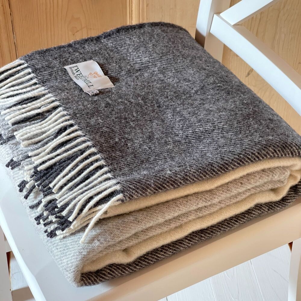 Tweedmill Paddock Check Pure New Wool Throw/Blanket in Charcoal - Extra Lar