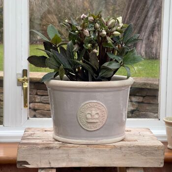 Kew Low Planter Pot Almond - Royal Botanic Gardens Plant Pot - Medium