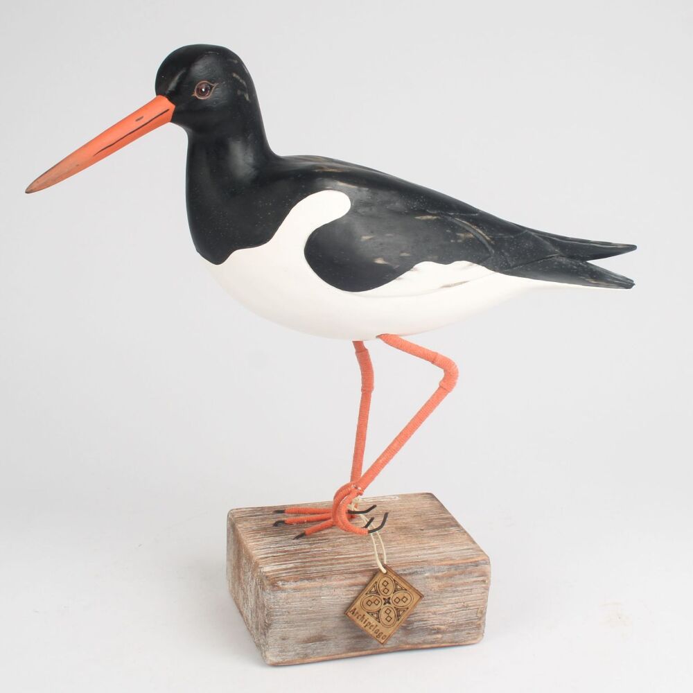 Archipelago Oystercatcher Looking Up Bird Wood Carving