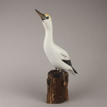 Archipelago 'Gannet Looking Up' Bird Wood Carving
