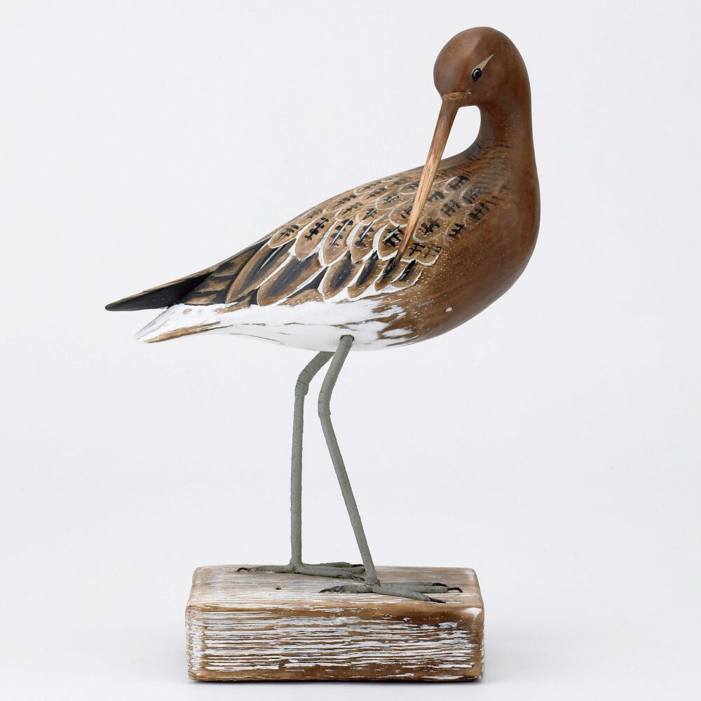 Archipelago Godwit Preening Bird Wood Carving