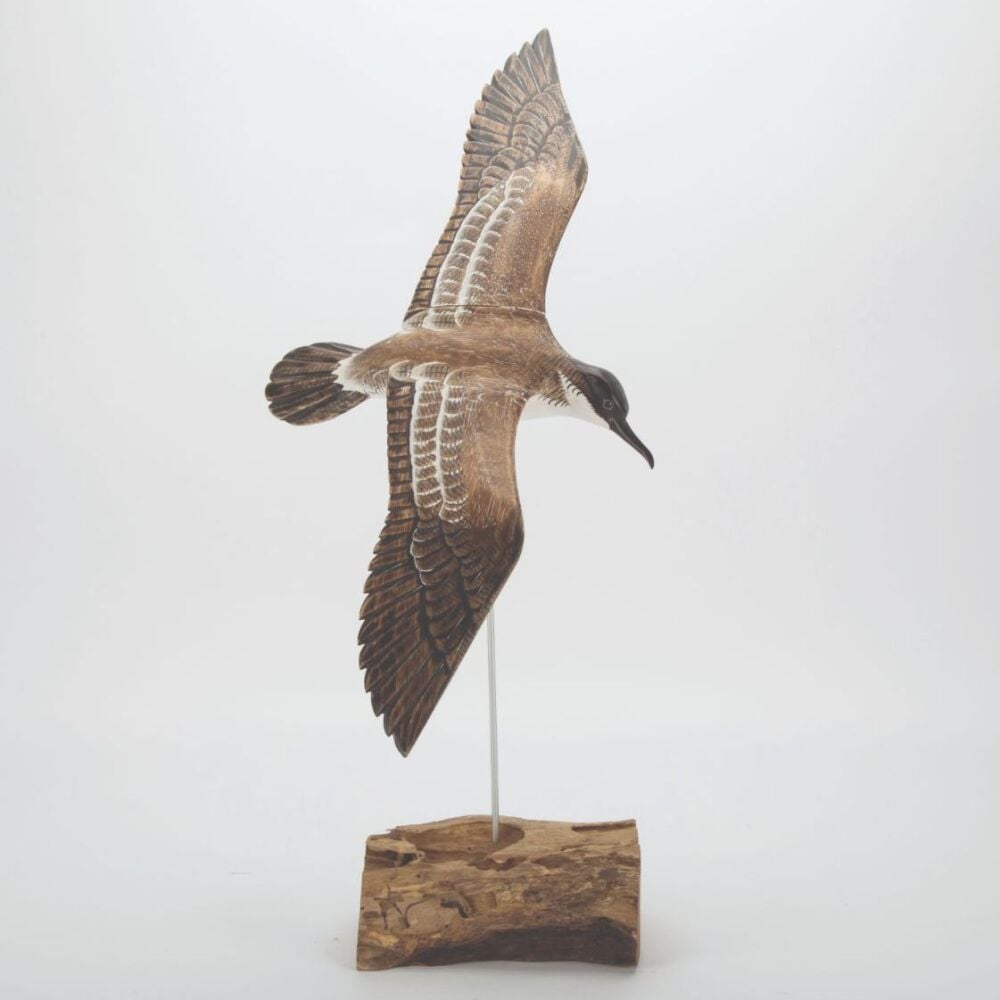 Archipelago Shearwater in Flight Bird Wood Carving