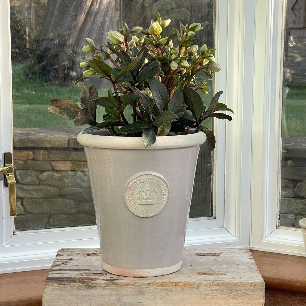 Kew Long Tom Pot in Almond - Royal Botanic Gardens Plant Pot - Large