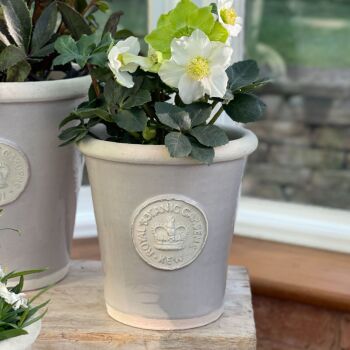 Kew Long Tom Pot in Almond - Royal Botanic Gardens Plant Pot - Medium