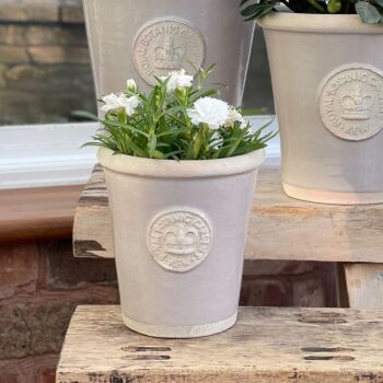 Kew Long Tom Pot in Almond - Royal Botanic Gardens Plant Pot - Small