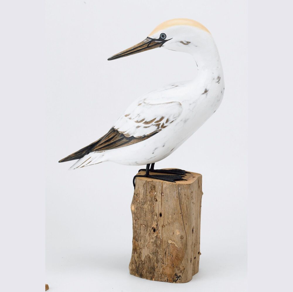 Archipelago 'Gannet Preening' Bird Wood Carving
