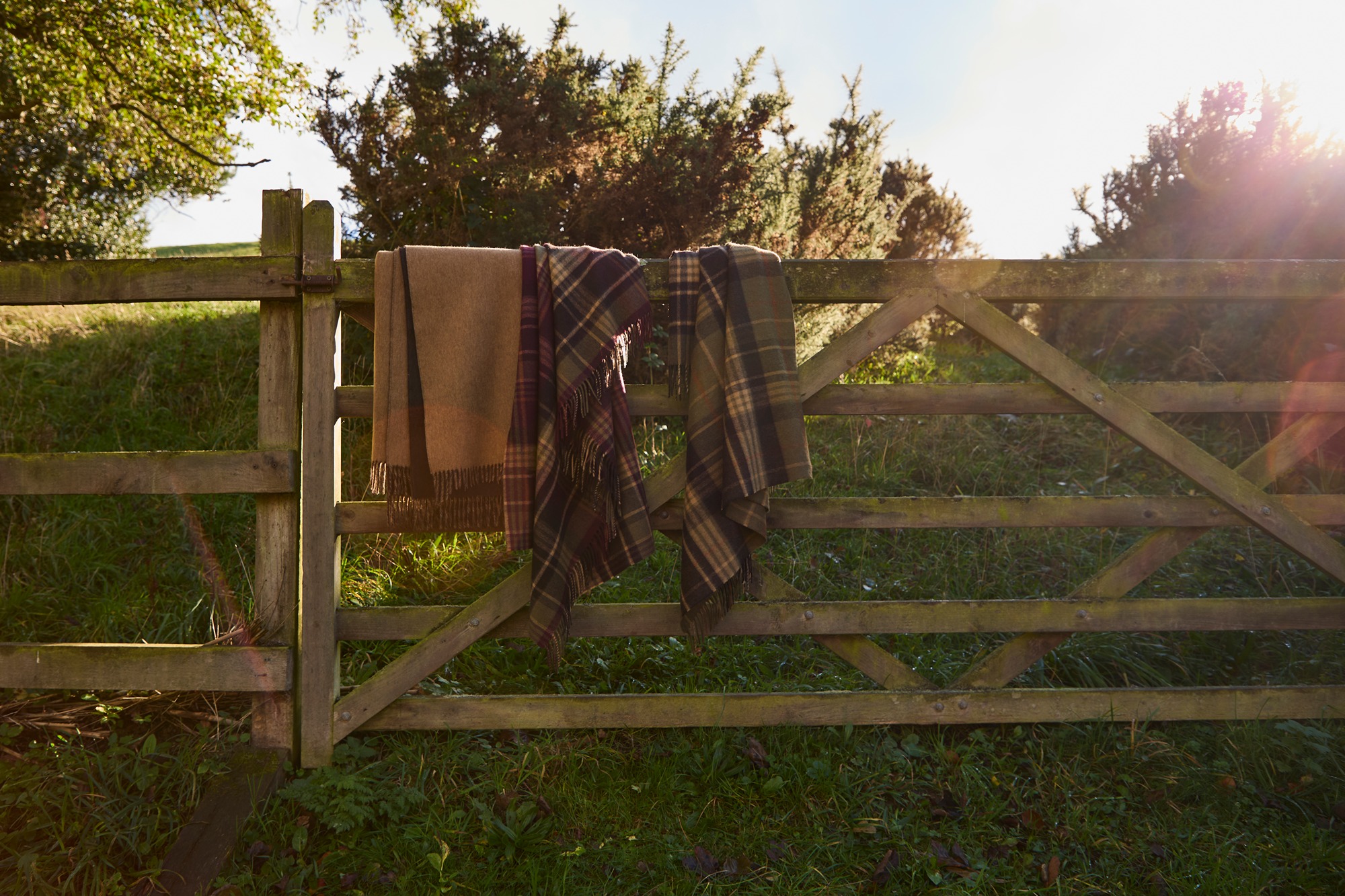 Country capsule 5 - (Nov 25)0072 (Small Jpeg) copy.jpg