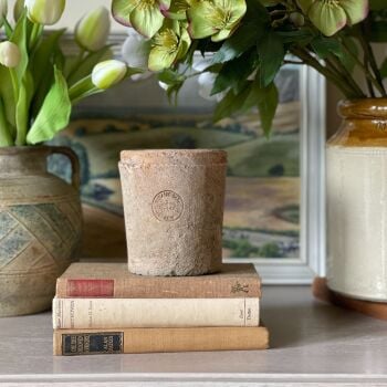 Kew Garden Rustic Antique Terracotta Straight Edge Plant Pot - 11.5 cm H