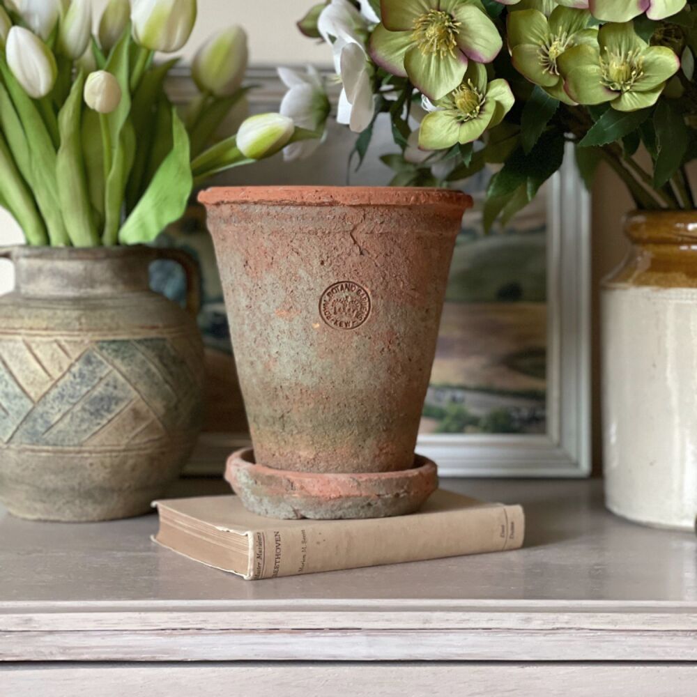 Kew Garden Rustic Antique Terracotta Long Tom Plant Pot with Saucer - Small
