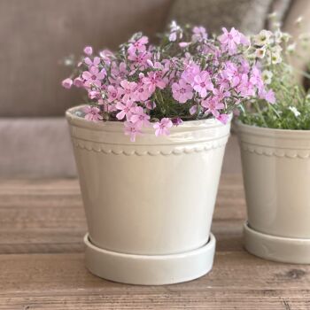 Ceramic Glazed Plant Pot with Decorative Rim & Saucer in Sage Green - 15.5 cm H