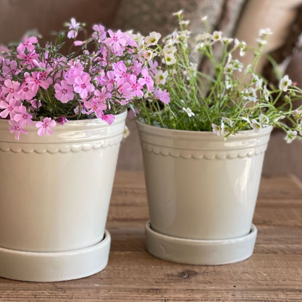 Ceramic Glazed Plant Pot with Decorative Rim & Saucer in Sage Green - 13 cm