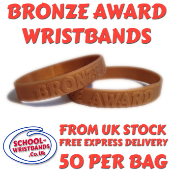 BRONZE AWARD - 25 MERITS - JUNIOR SIZE - Includes express delivery!