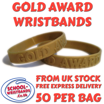 GOLD AWARD - 100 MERITS - JUNIOR SIZE - Includes express delivery!