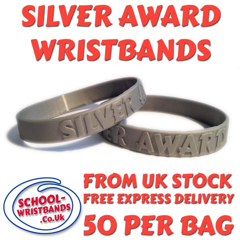SILVER AWARD - JUNIOR SIZE - Includes express delivery and VAT!
