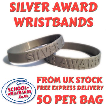 SILVER AWARD - 50 MERITS - JUNIOR SIZE - Includes express delivery!