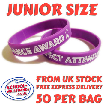 ATTENDANCE - JUNIOR SIZE - PURPLE - Includes express delivery!