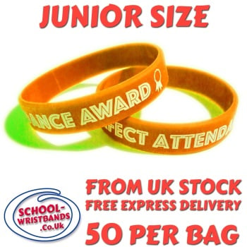 ATTENDANCE - JUNIOR SIZE - ORANGE - Includes express delivery!