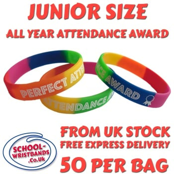 ATTENDANCE - JUNIOR SIZE - RAINBOW - Includes express delivery!