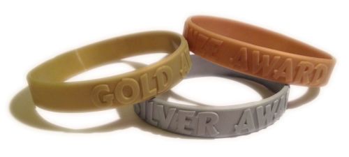 Gold, Silver &amp; Bronze Awards - School Rewards Wristbands