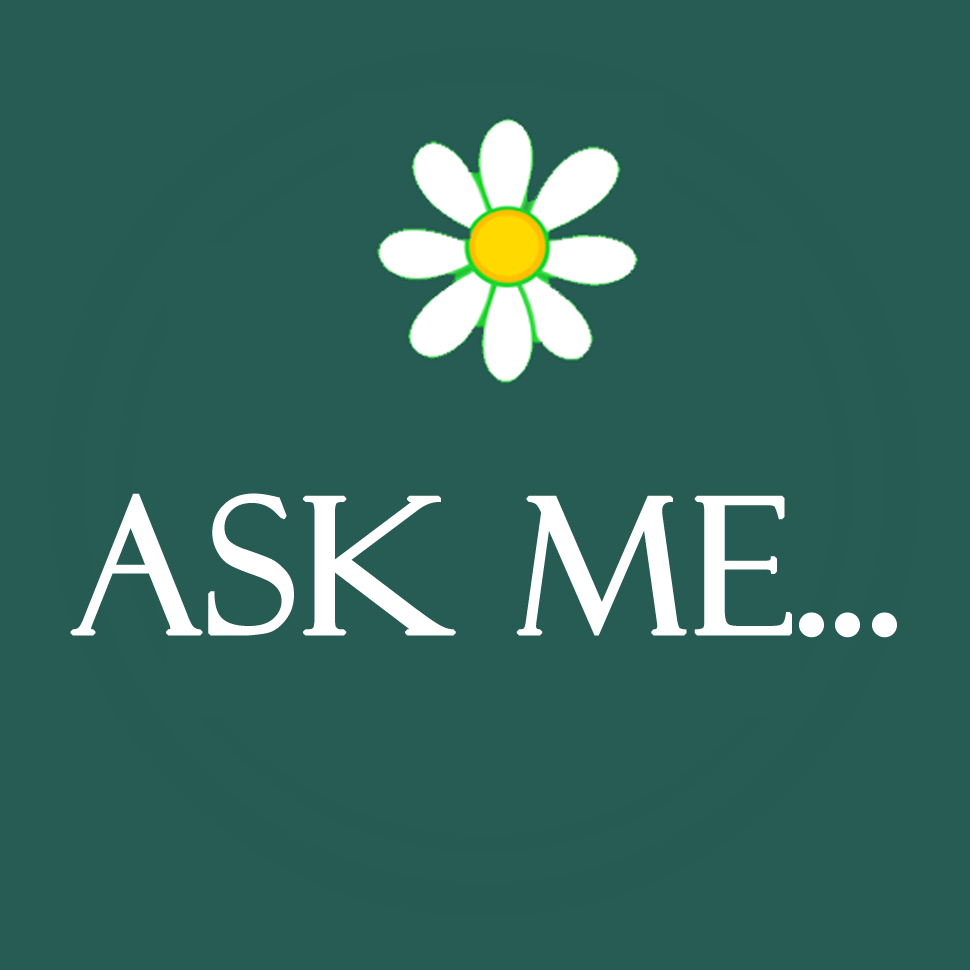 V-Eco Home daisy logo with wording Ask Me