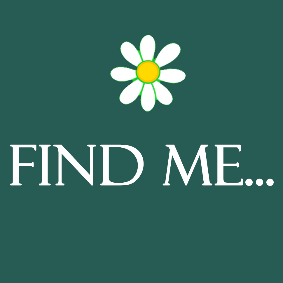 V-Eco Home daisy logo with wording Find Me