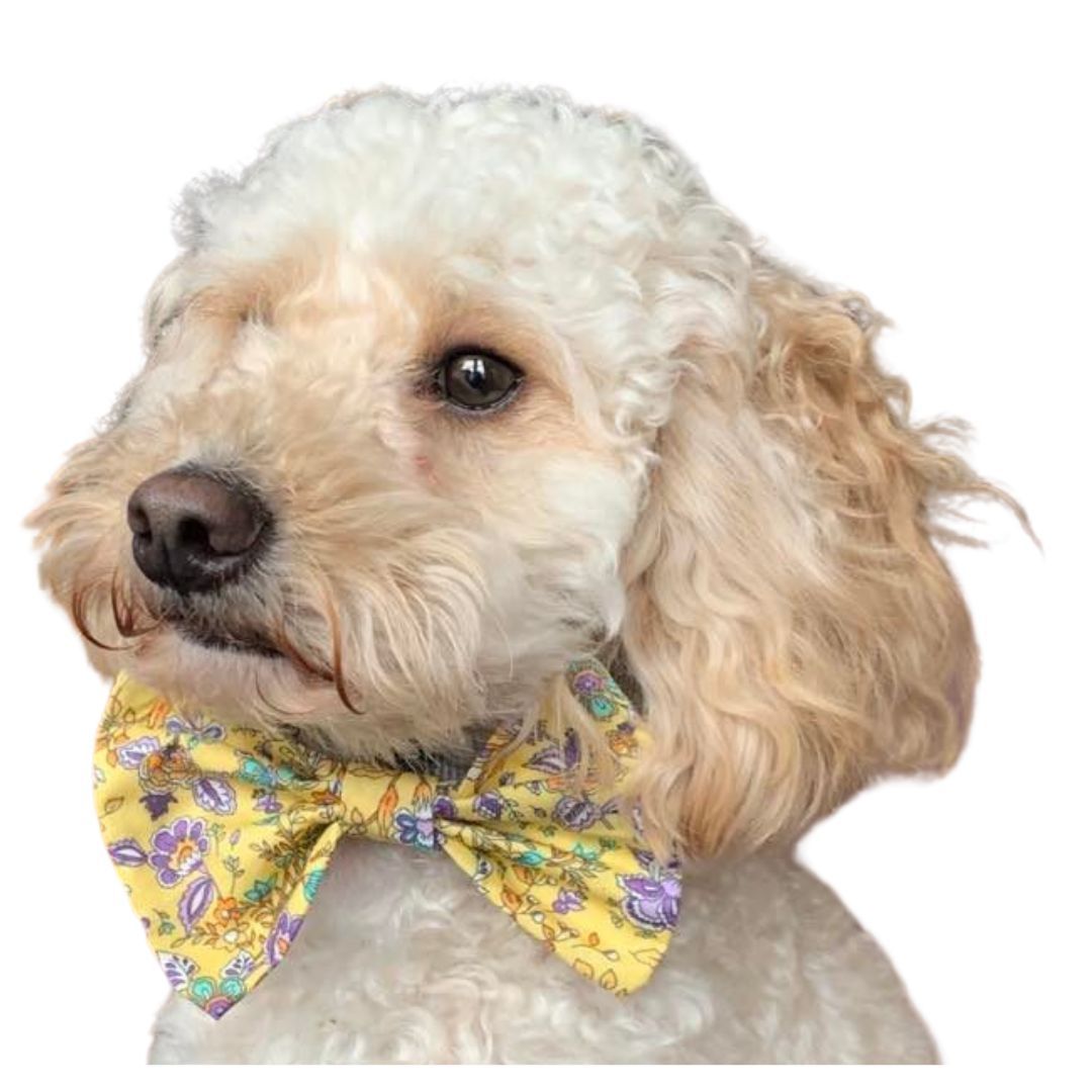 Bow Tie - Yellow Floral