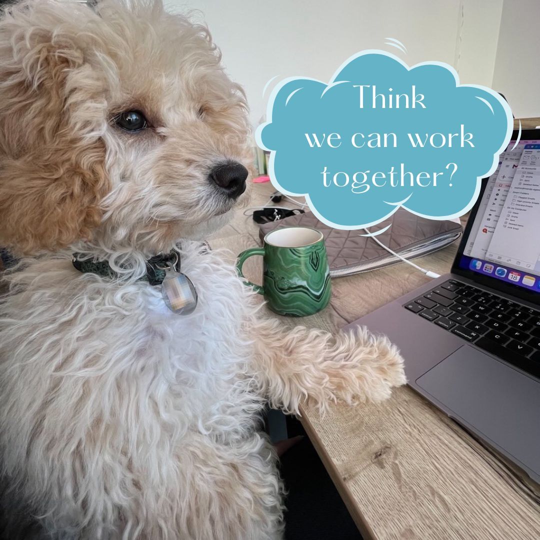 Freddie a cockerpoo  is on the left of the picture.  He is sitting at a desk with his left paw on a laptop as  though he is working.  To his left is a green mug and above the mug is a teal cloud shape with the words Think we can work together?