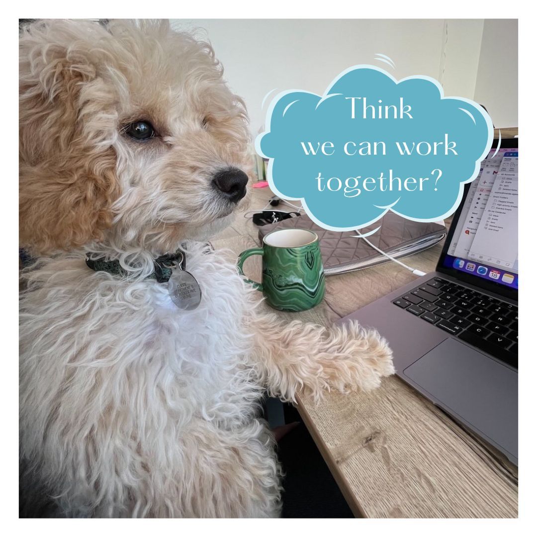 Freddie a cockerpoo  is on the left of the picture.  He is sitting at a desk with his left paw on a laptop as  though he is working.  To his left is a green mug and above the mug is a cloud shape with the words  Think we can work together?