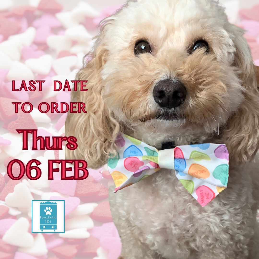 BOW TIE - Love Hearts Sweets on White Background