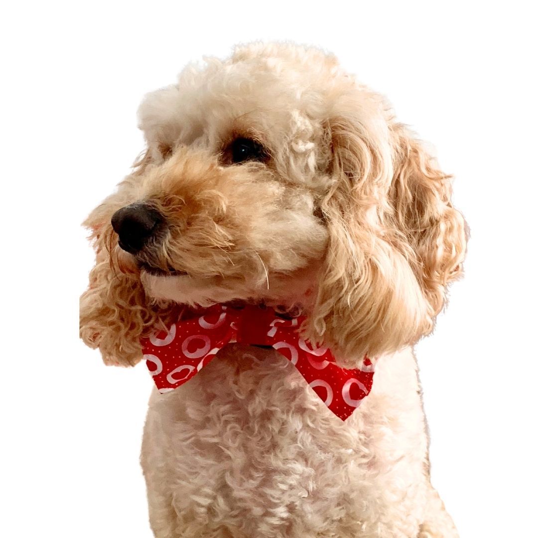 BOW TIE - Red Hearts and Polka Dots