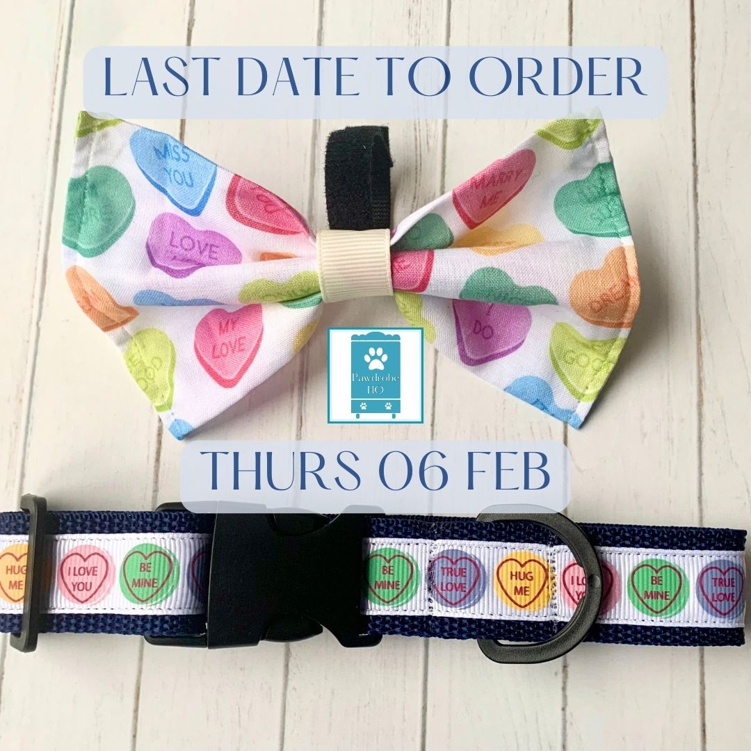 COLLAR - LOVE HEARTS NAVY